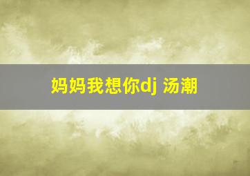 妈妈我想你dj 汤潮